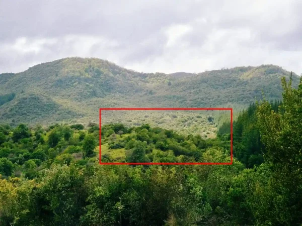 DOMUS TERRA VENDE PARCELA